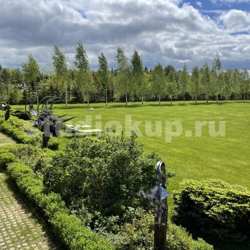 Зелёная студия Марьяны Купцовой