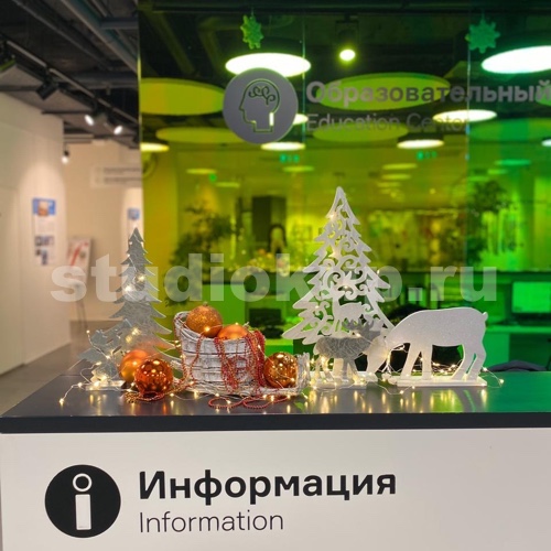 Зелёная студия Марьяны Купцовой